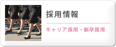 採用情報